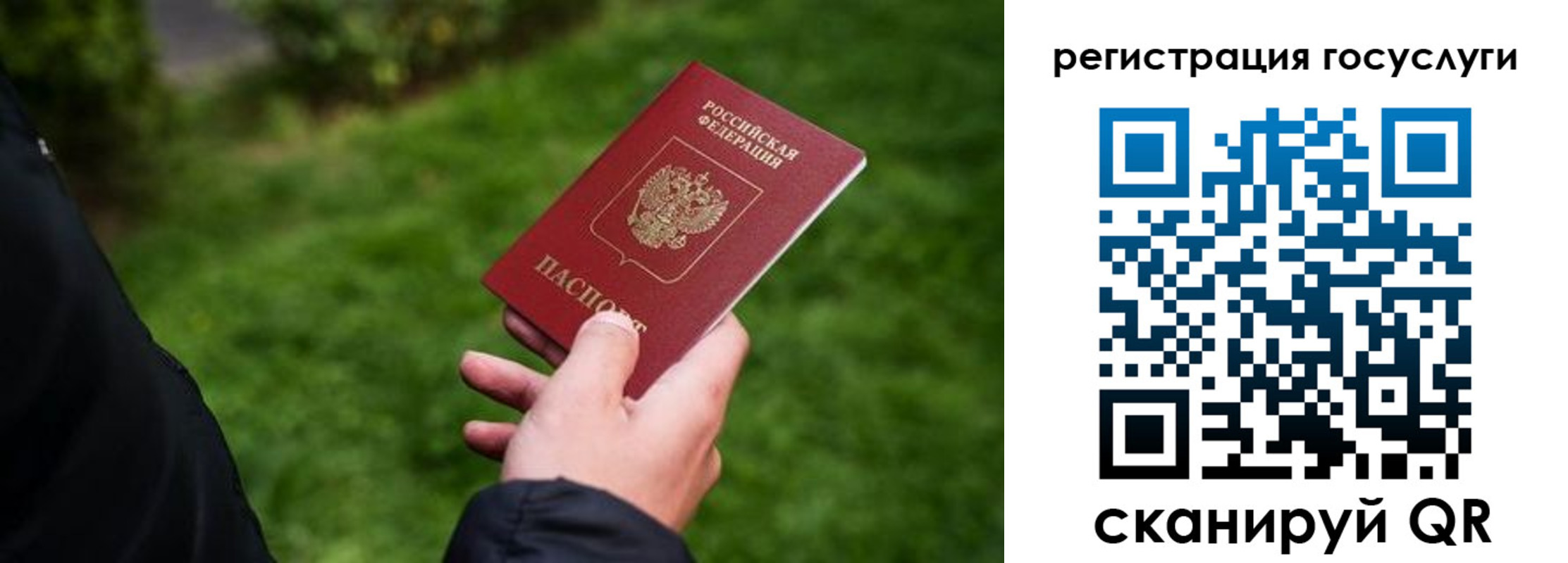 прописка в Шали